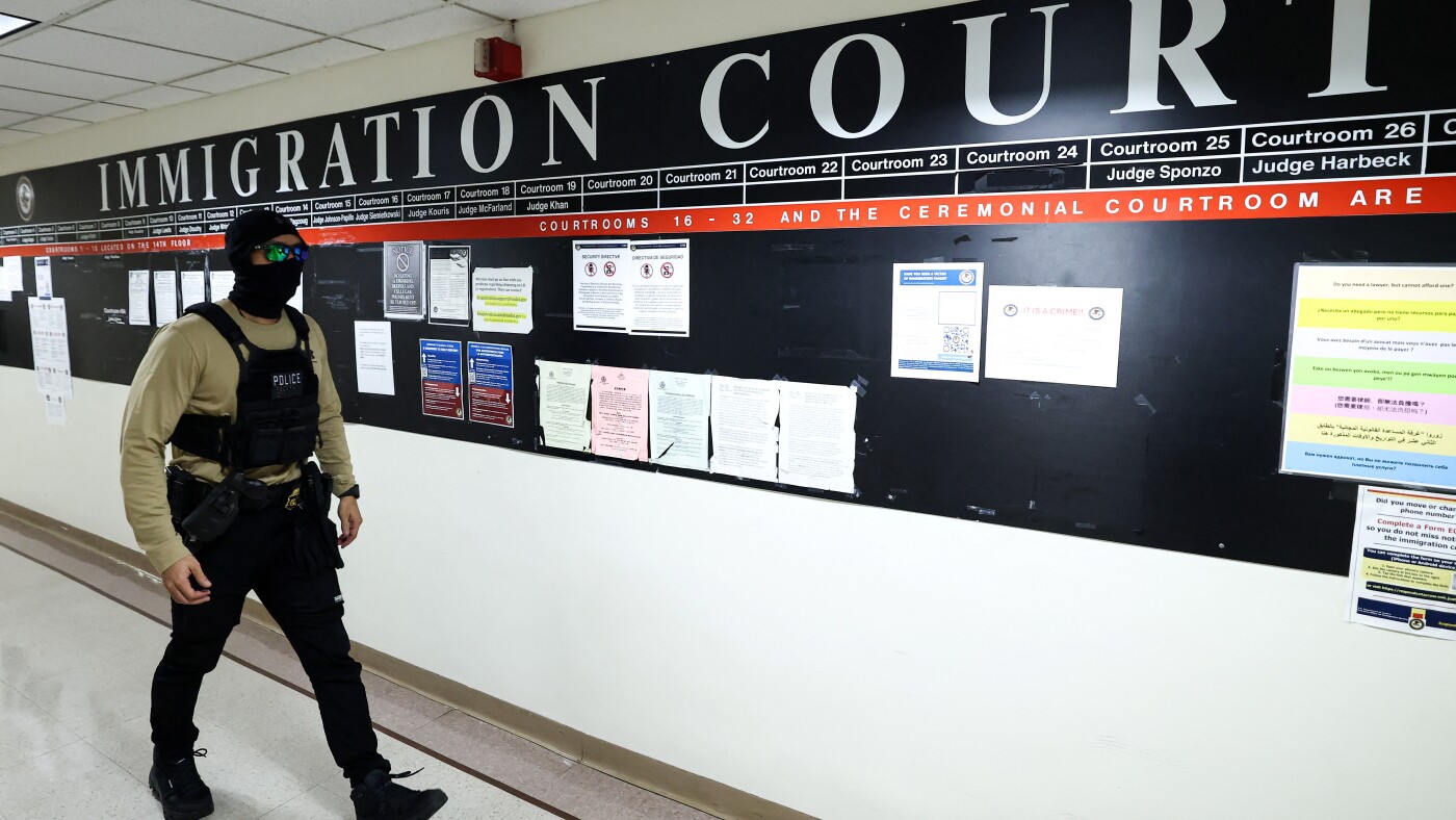 Dems seek to limit who can be immigration judges. And, the GOP wins House election