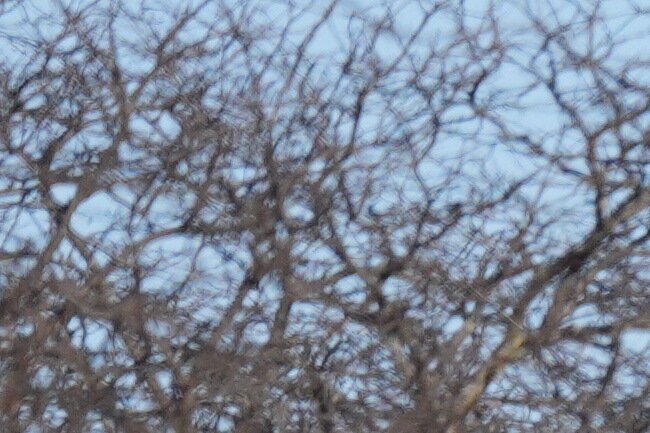 Federal agents stand near the site of a shooting saturday, Jan. 24,‌ 2026, in Minneapolis.