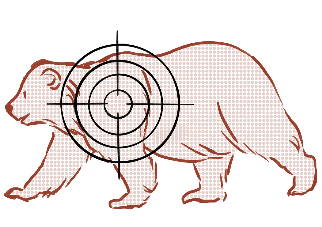 Bear Slashing How a federal program kills wildlife for private interests : NPR