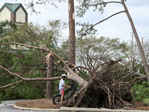 An uprooted tree is seen in Gulf Breeze, Fla., on Saturday. The southeastern U.S. faced a high risk of flooding as Isaias, weakened from a hurricane to a post-tropical cyclone, moved northward.