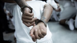 The Trump administration deported hundreds of alleged members of the Tren De Aragua and Mara Salvatrucha gangs to El Salvador over the weekend.