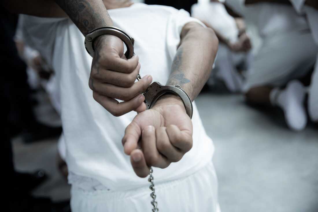 The Trump administration deported hundreds of alleged members of the Tren De Aragua and Mara Salvatrucha gangs to El Salvador over the weekend.