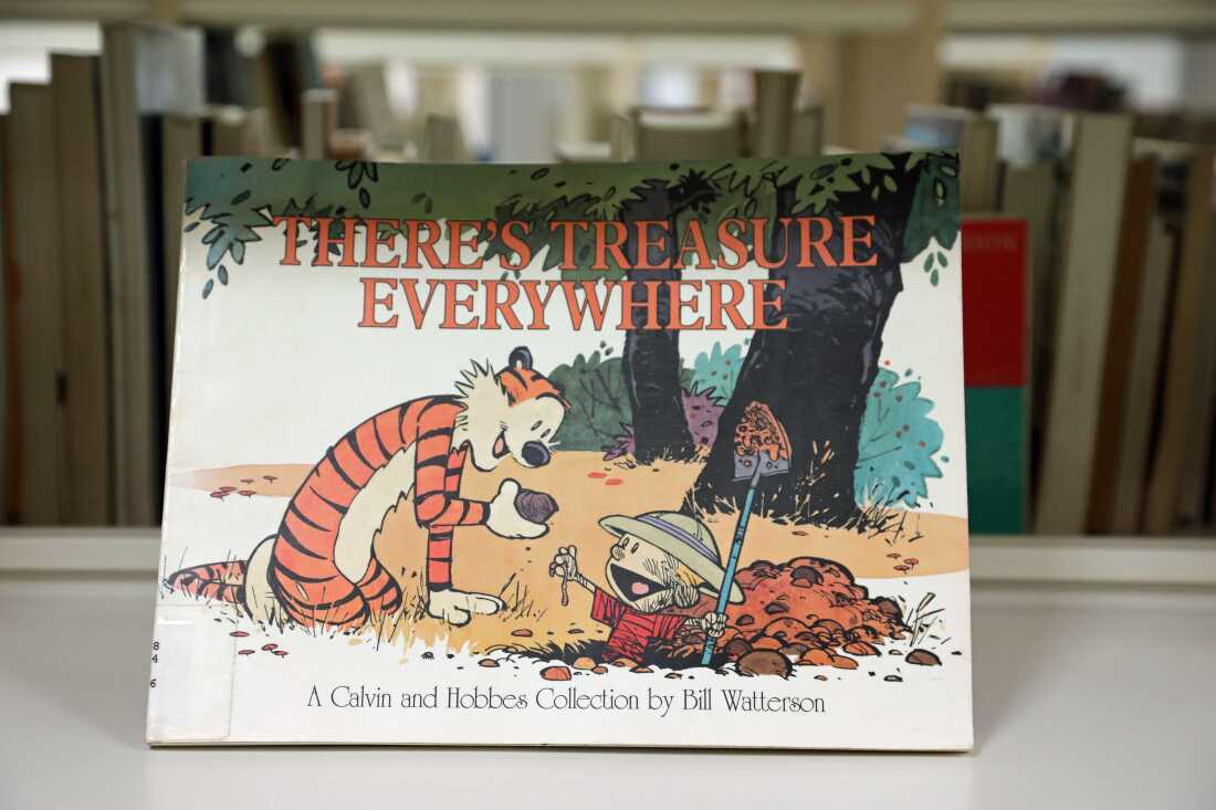 "There's Treasure Everywhere," the tenth collection of Calvin and Hobbes comic strips, published in March 1996.