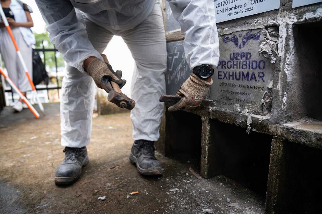 A former member of the military implicated in the “false positives” who is under the Special Jurisdiction for Peace (JEP), participates in forensic activities as part of the sanctions of the JEP, at the Central Cemetery in Neiva, Huila, Colombia, April 30, 2025. Photo: Nathalia Angarita for NPR
