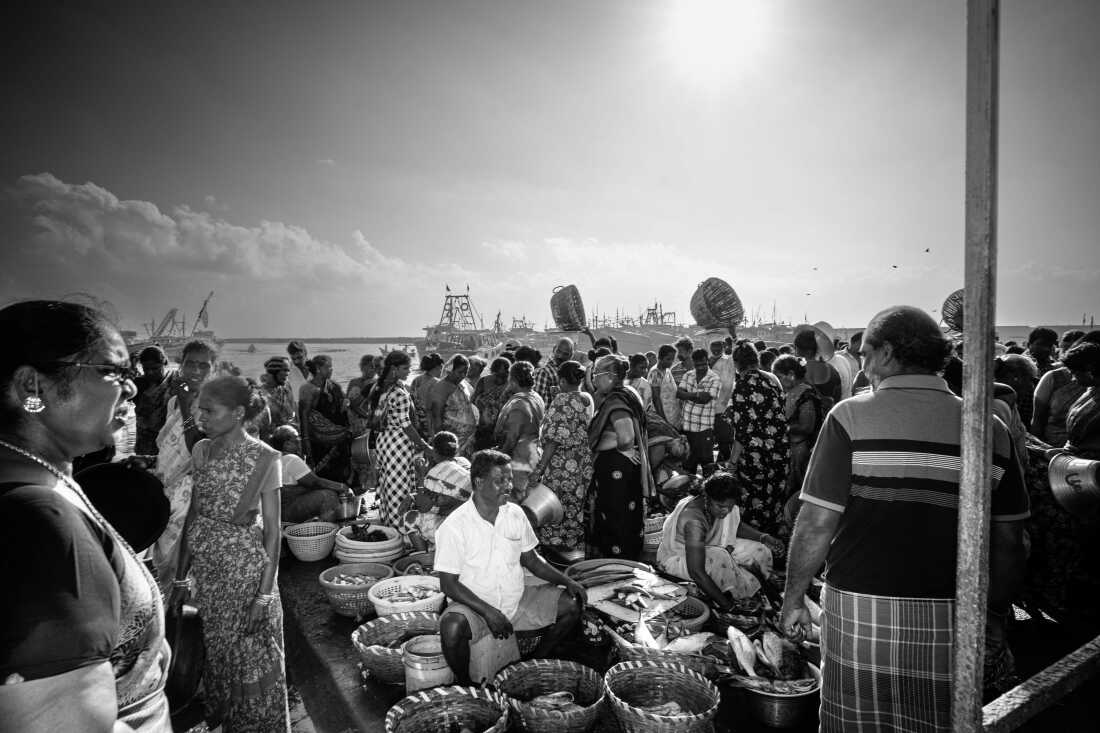 Vendors set up their baskets of the morning's catch on the docks, catering to customers that weave through the make-shift market.