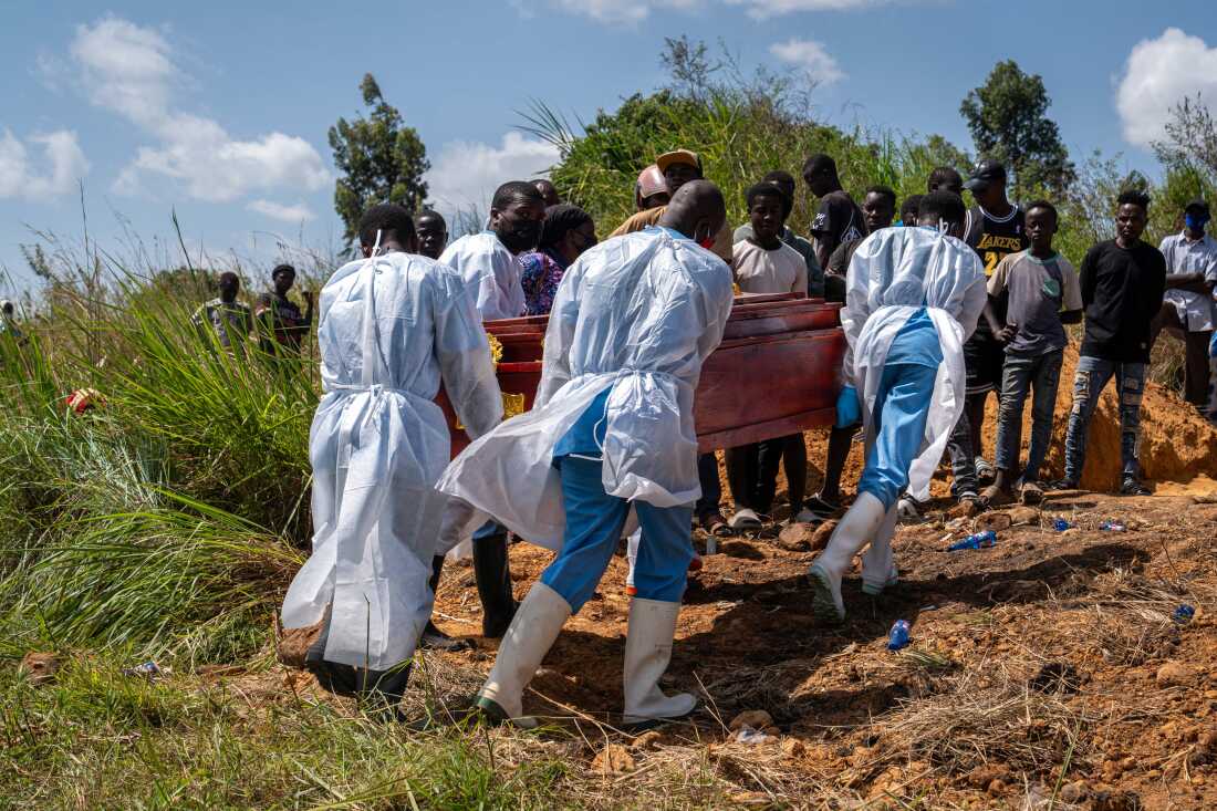 How Ebola kills — and what it takes to stop it