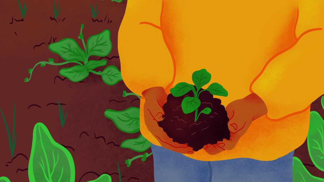 An illustration showing a close-up of the torso of a person in a long-sleeved yellow shirt holding a seedling in a mound of dirt. Behind them larger plants grow in the soil. The image illustrates the idea of financial investing, planting seeds and seeing future yields.