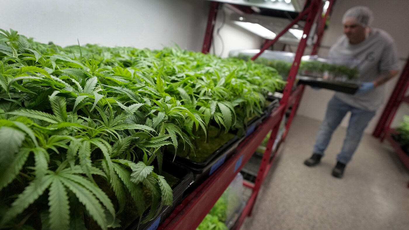 Marijuana rescheduling would bring some immediate changes, but others will take time