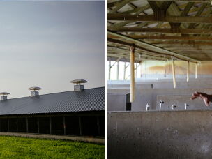 Rand Faaborg and his family converted stalls previously used for raising pigs.