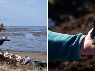 Kenneth McElroy examines pieces of leather he excavated from the Nunalleq dig on June 8.