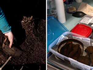 Kenneth McElroy excavates an artifact from the Nunalleq dig site. Monica Shah places wooden artifacts in a polyethylene glycol solution.