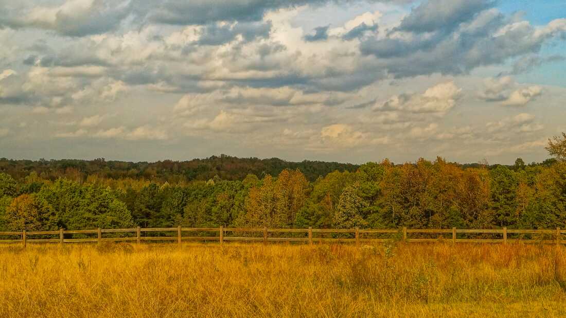 A portion of the Hanging Rock Battlefield, owned by the South Carolina Battleground Trust, that is not currently open to the public.
