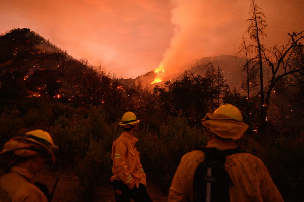 Napa Valley firefighters look on as the Pickett fire burns in Calistoga, California, on August 21. A fast-moving wildfire erupted north of Calistoga in Napa County, scorching over 1,200 acres within hours and prompting evacuation orders for nearby rural communities, authorities said.