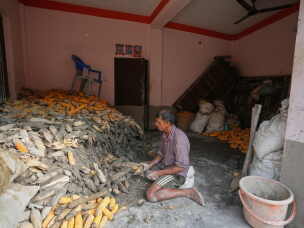 A farmer cleans his corn crop after flash floods in Nepal's Nuwakot district on Saturday, Aug. 29, 2026.