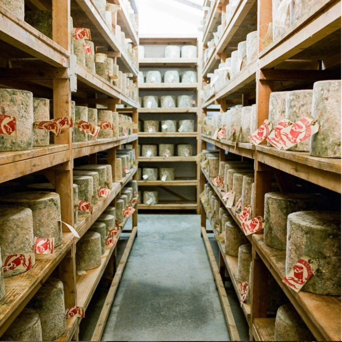 London-based distributor Neal's Yard Dairy announced on Instagram that it was 'the victim of a sophisticated fraud' involving high-value cheddar cheese. They are working with law enforcement to track down the culprit, and asking fellow cheesemongers to report any suspicious deals on clothbound cheddars with the tags detached.