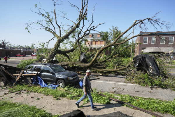 A person walks past a large tree blocking a road after a severe storm moved through St. Louis on Friday.
