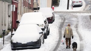 A person walks a dog on a slushy street after a winter snow storm in Pottsville, Pa., on Tuesday.