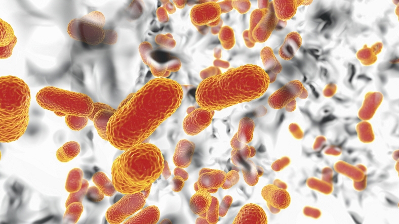 How the pandemic gave power to superbugs