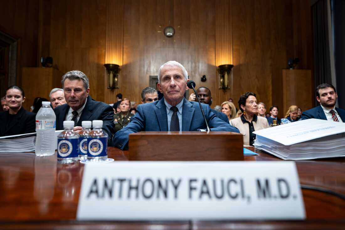 Después de la audiencia de Fauci en el Senado, los expertos se preocupan por el ‘efecto paralizador’ en la salud pública