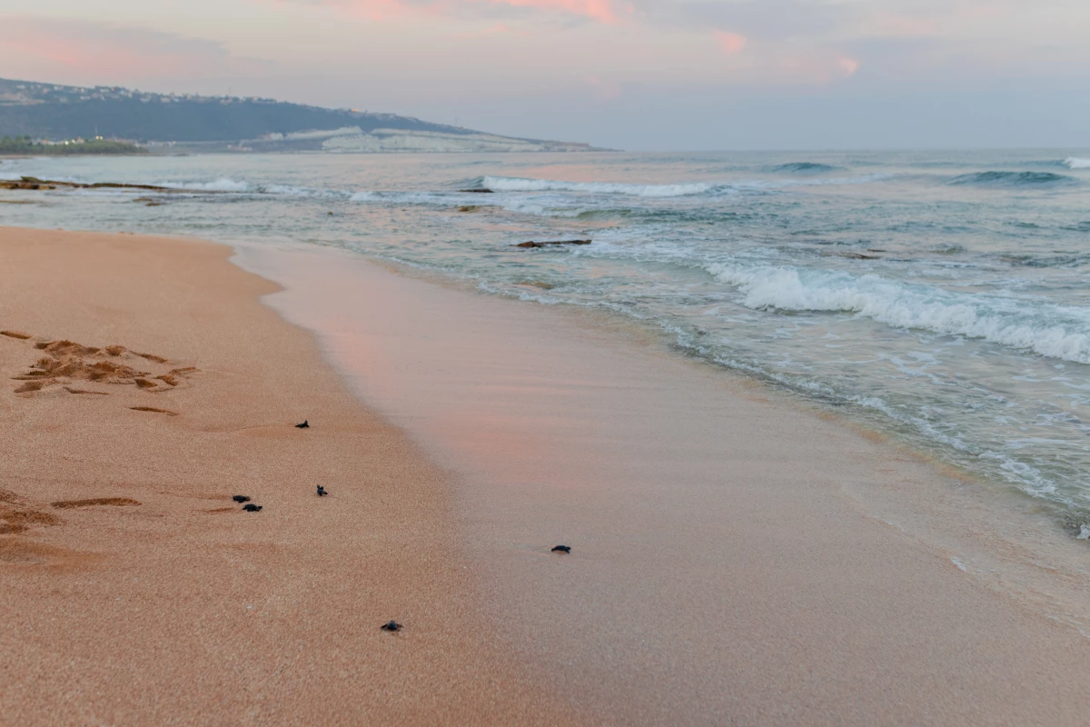 A view of Mansouri Beach in southern Lebanon. Just a couple of miles south of here, there was daily fighting between Israeli forces and the Lebanese militant group Hezbollah that started in October 2023.