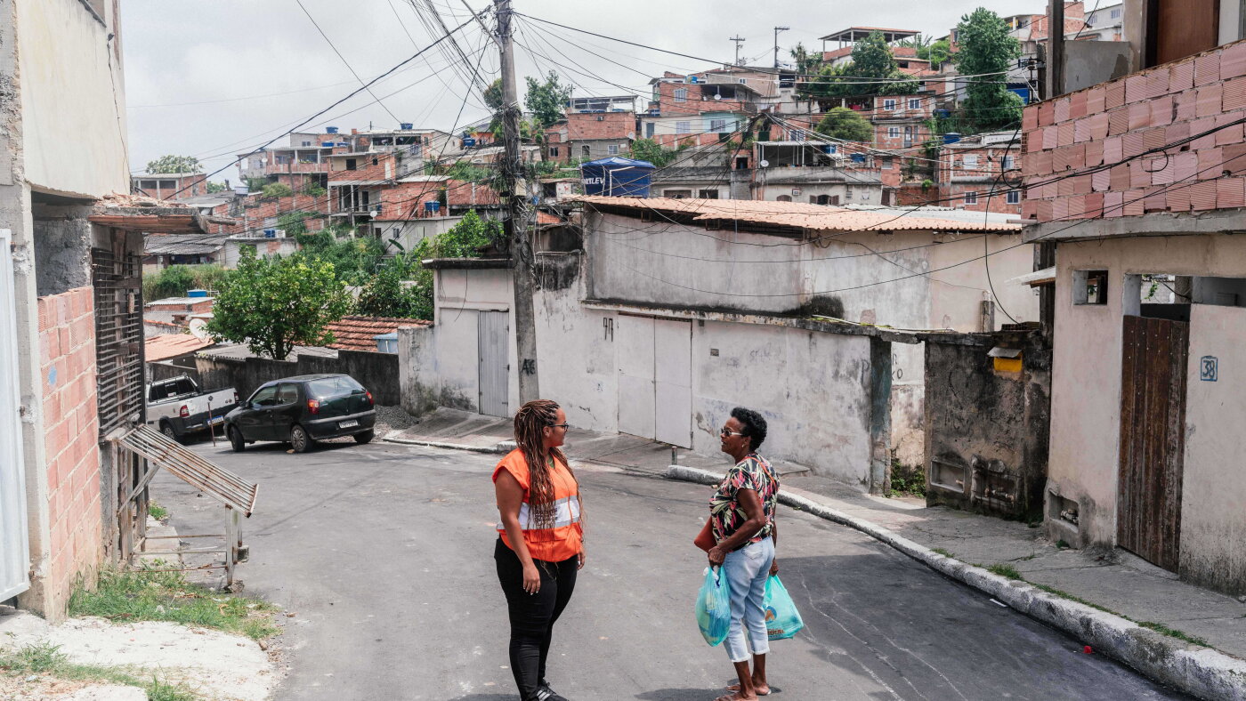 Butuca Get ready, Brazil. The 'good mosquitoes' are coming : Goats and Soda : NPR