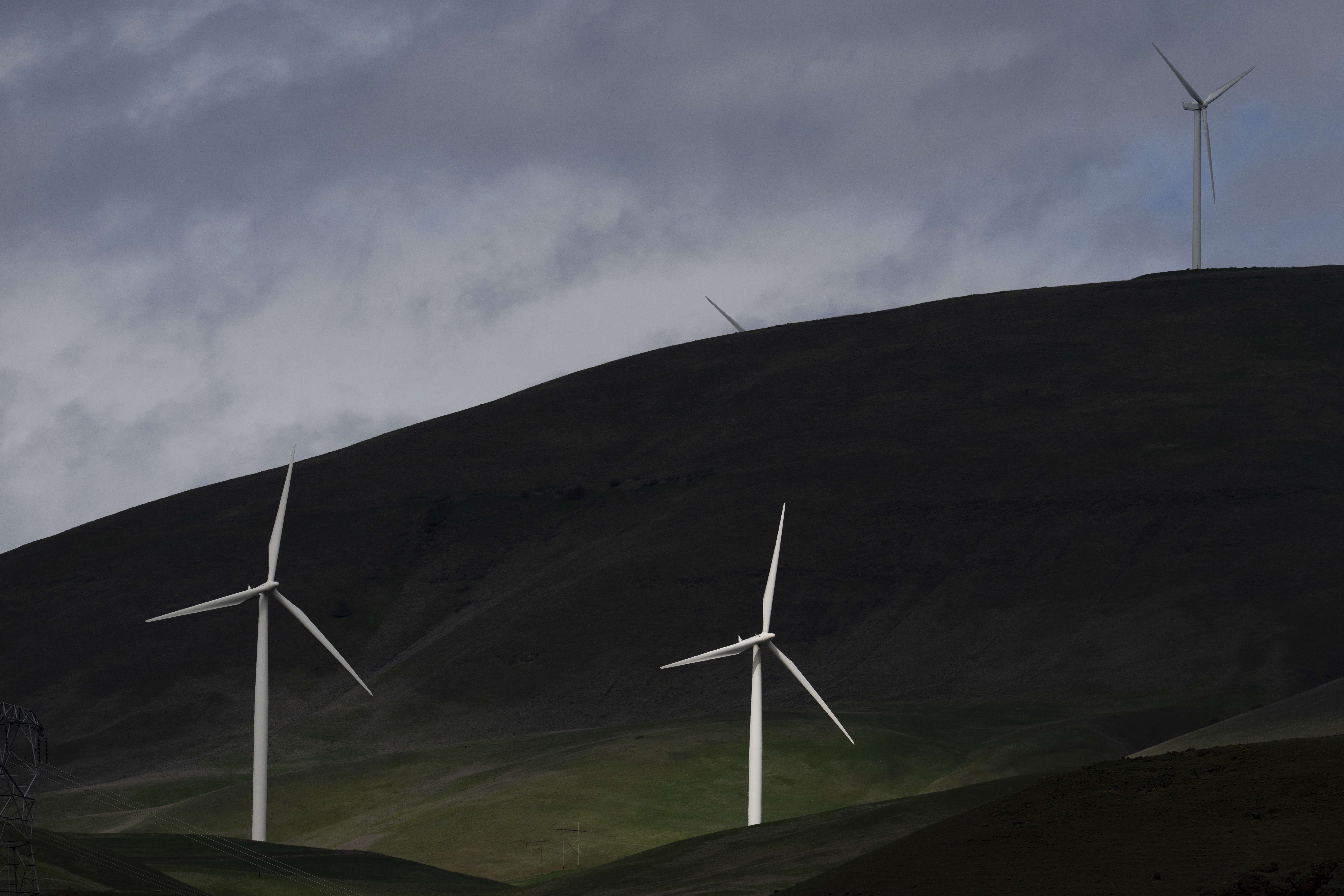 Wind turbines in Goldendale, Wash. Employees at the Energy Department office that funds clean energy technology were told to avoid using terms including "climate change" and "green," according to an email obtained by NPR. (AP)