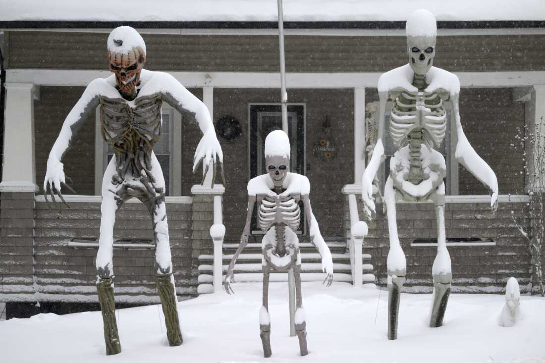 2 月 23 日,康涅狄格州威灵顿的三个庭院装饰被雪覆盖,当时正值东北风,该州部分地区降雪厚达两英尺。