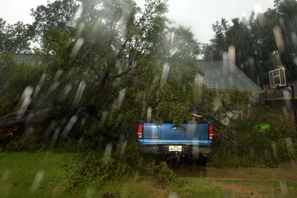 A tree collapsed on a truck in Rosenberg, Texas, as Hurricane Beryl made landfall Monday along the Gulf Coast. US state of Texas, where some residents were evacuated over warnings of flooding and power outages. (Photo by Mark Felix / AFP) (Photo by MARK FELIX/AFP /AFP via Getty Images)