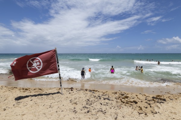 Hurricane Erin becomes a Category 4 in the Caribbean as the region braces for flooding