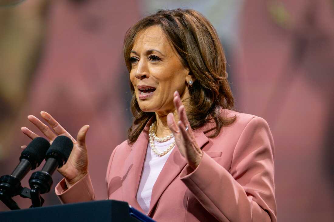dead assignment to Vice President Kamala Harris speaks to members of the Alpha Kappa Alpha Sorority at the Kay Bailey Hutchison Convention Center on July 10 in Dallas.