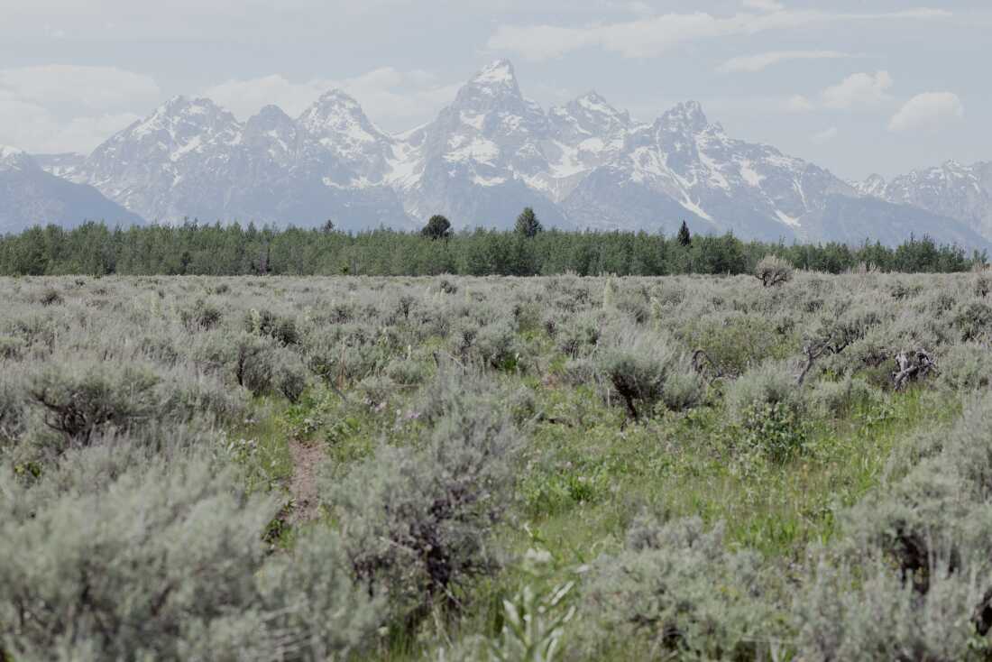 Grand Teton National Park Foundation has two years to raise $38 million for the land transfer.  The federal government will kick in the rest of the cash.