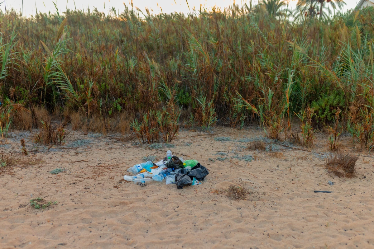 Volunteers at the Mansouri beach don't only look after the sea turtles, but also collect trash that can harm the endangered creatures. For example, turtles have mistaken plastic bags for jellyfish and eaten them.