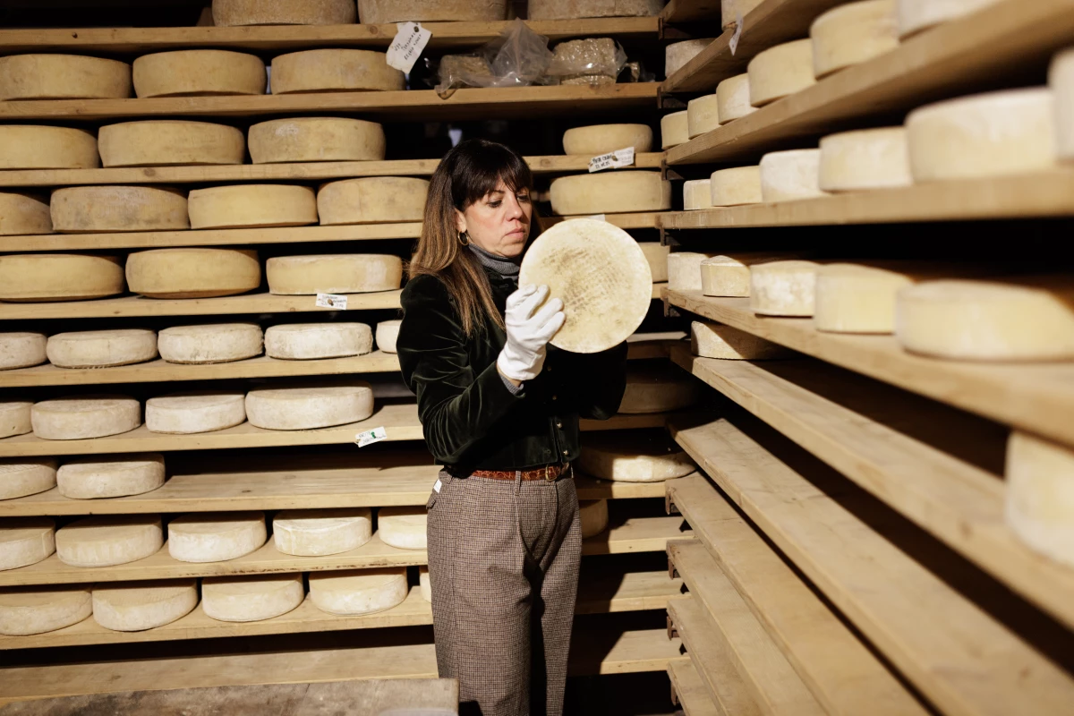 Ludovica Rubbini, co-founder of the Michelin-starred restaurant SanBrite, inspects a wheel of artisanal cheese inside the establishment's aging cellar. The 'agricucina' project emphasizes the traditional preservation and maturation of local dairy products, showcasing the deep connection between the restaurant's kitchen and its own farm production in the Dolomites.