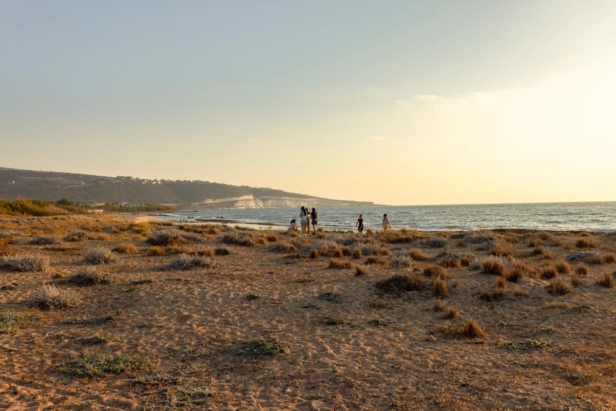 Whole families sometimes gathered for the occasion of a sea turtle hatching, on Mansouri Beach, southern Lebanon.