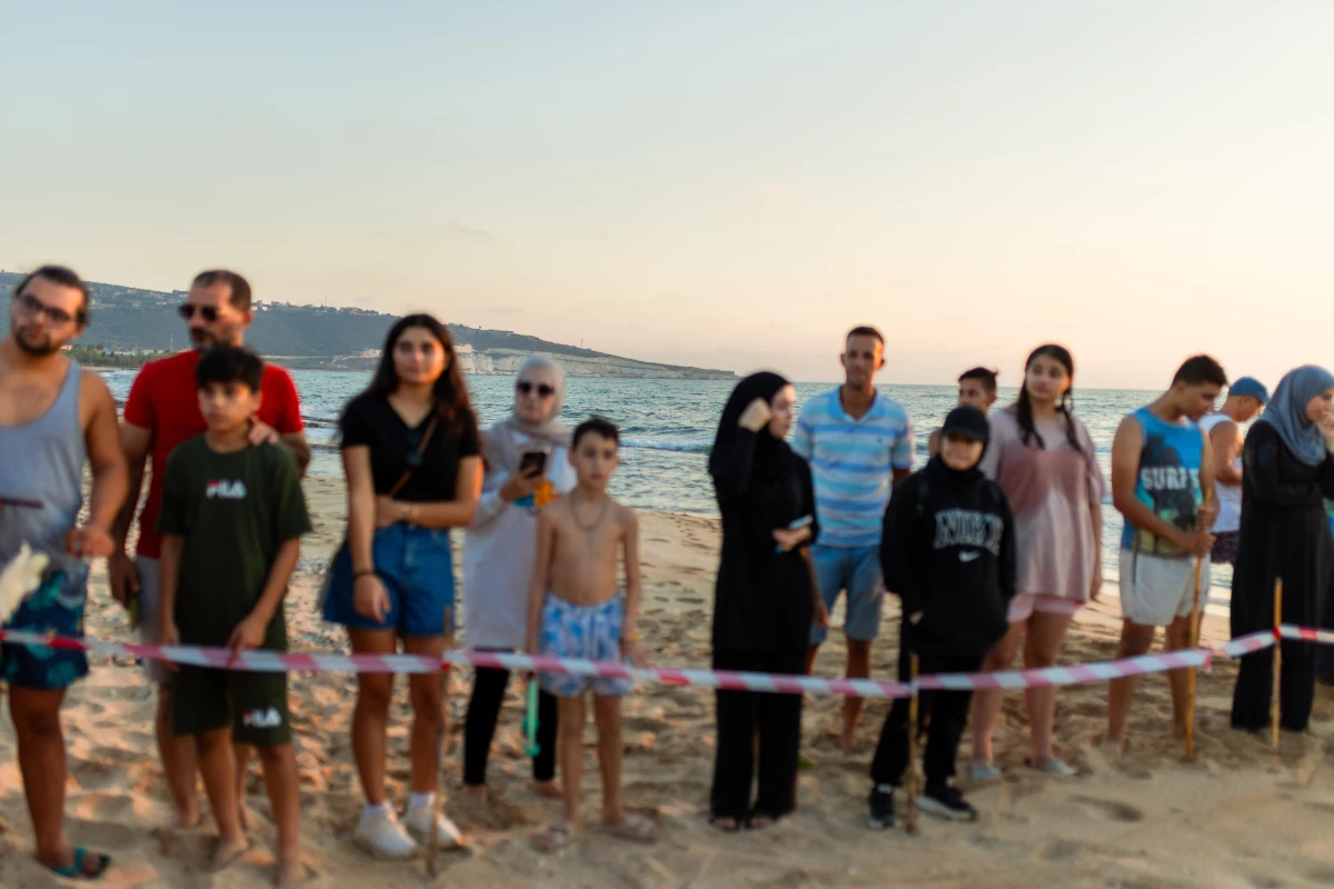 The volunteers and other turtle lovers are eager to get back to the beach after the war between Israel and Hezbollah made it too dangerous.