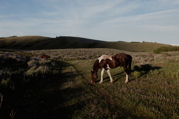 Greater Yellowstone Coalition’s Jared Baecker said that if the parcel ended up in the hands of private developers, it would 'absolutely fragment and hinder some of the greatest migrations of hoofed mammals in the lower 48 states.'