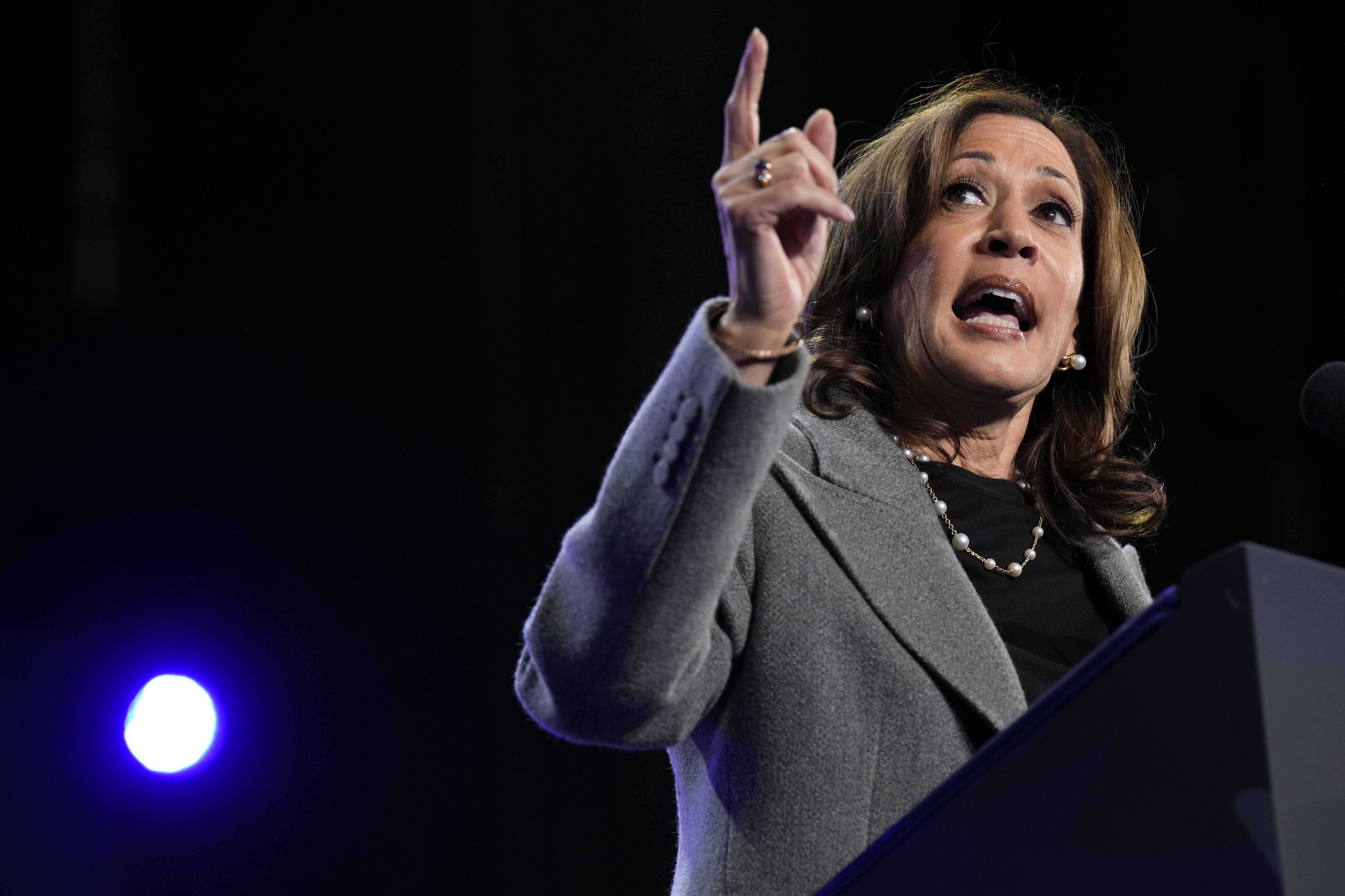 Democratic presidential nominee Vice President Kamala Harris speaks during a campaign event at Lakewood Amphitheatre, Saturday, Oct. 19, 2024, in Atlanta. (AP)