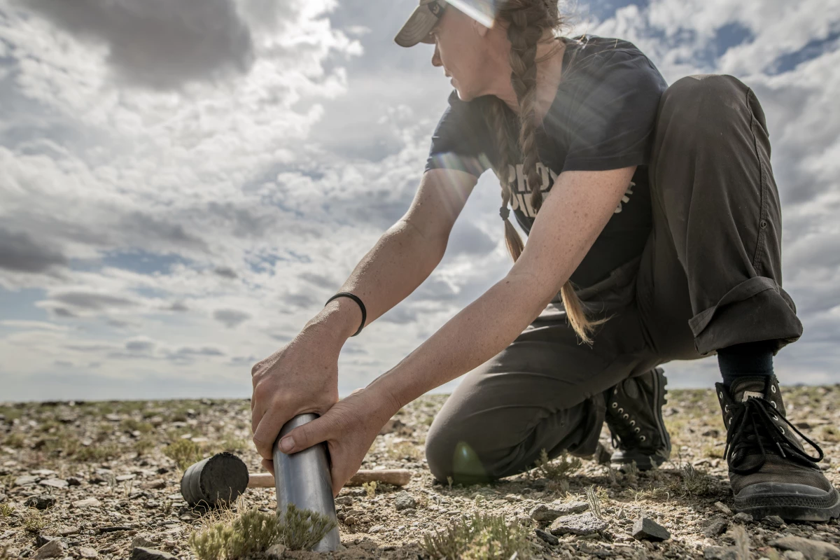 Dr. Toby Kiers takes a soil core in the Gobi desert, Mongolia.
