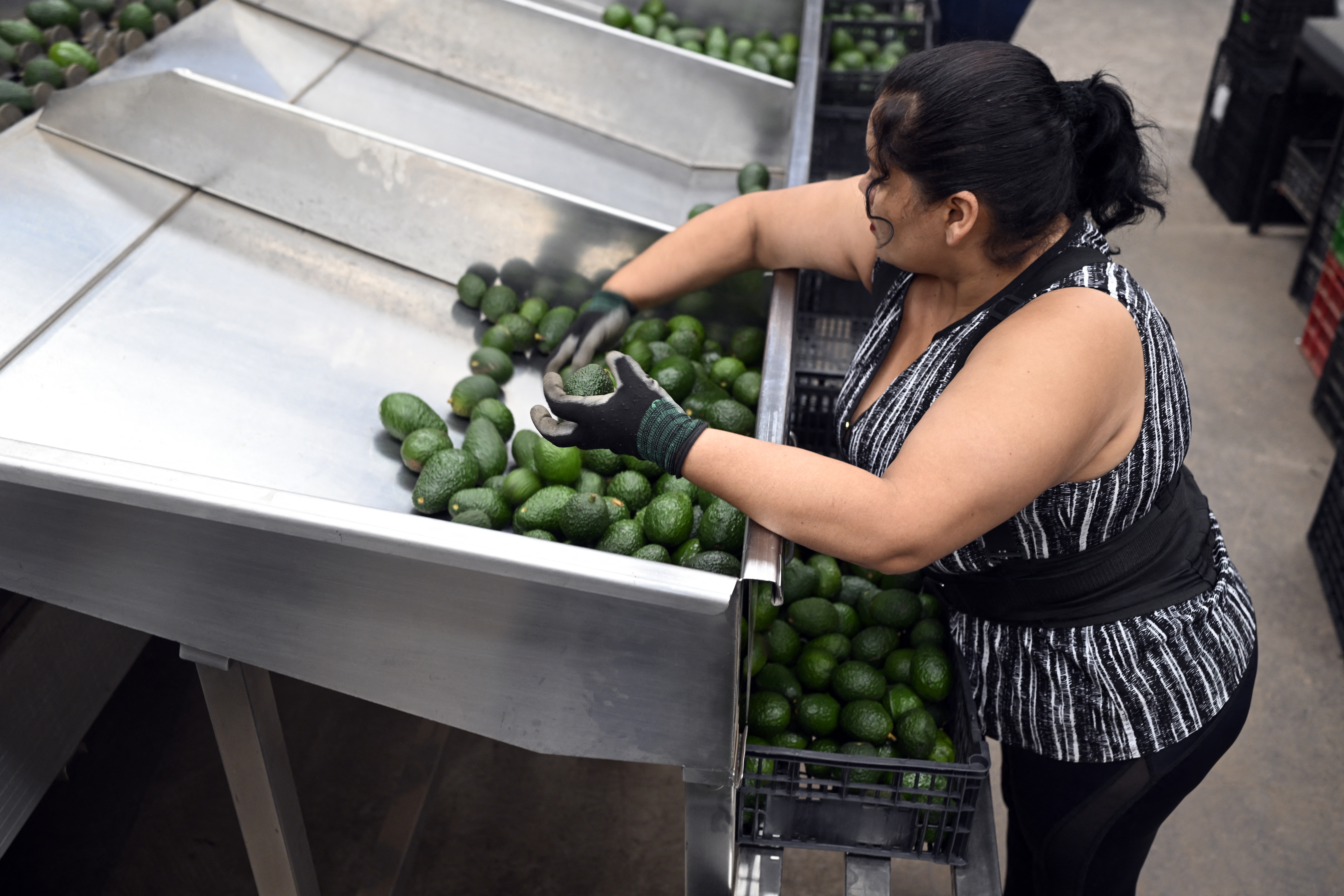 President Trump is imposing 25% tariffs on most imports from Mexico and Canada, as well as 10% tariffs on imports from China. Mexico supplies more than a quarter of the fresh fruits and vegetables in the U.S., including avocados popular in Super Bowl guacamole.