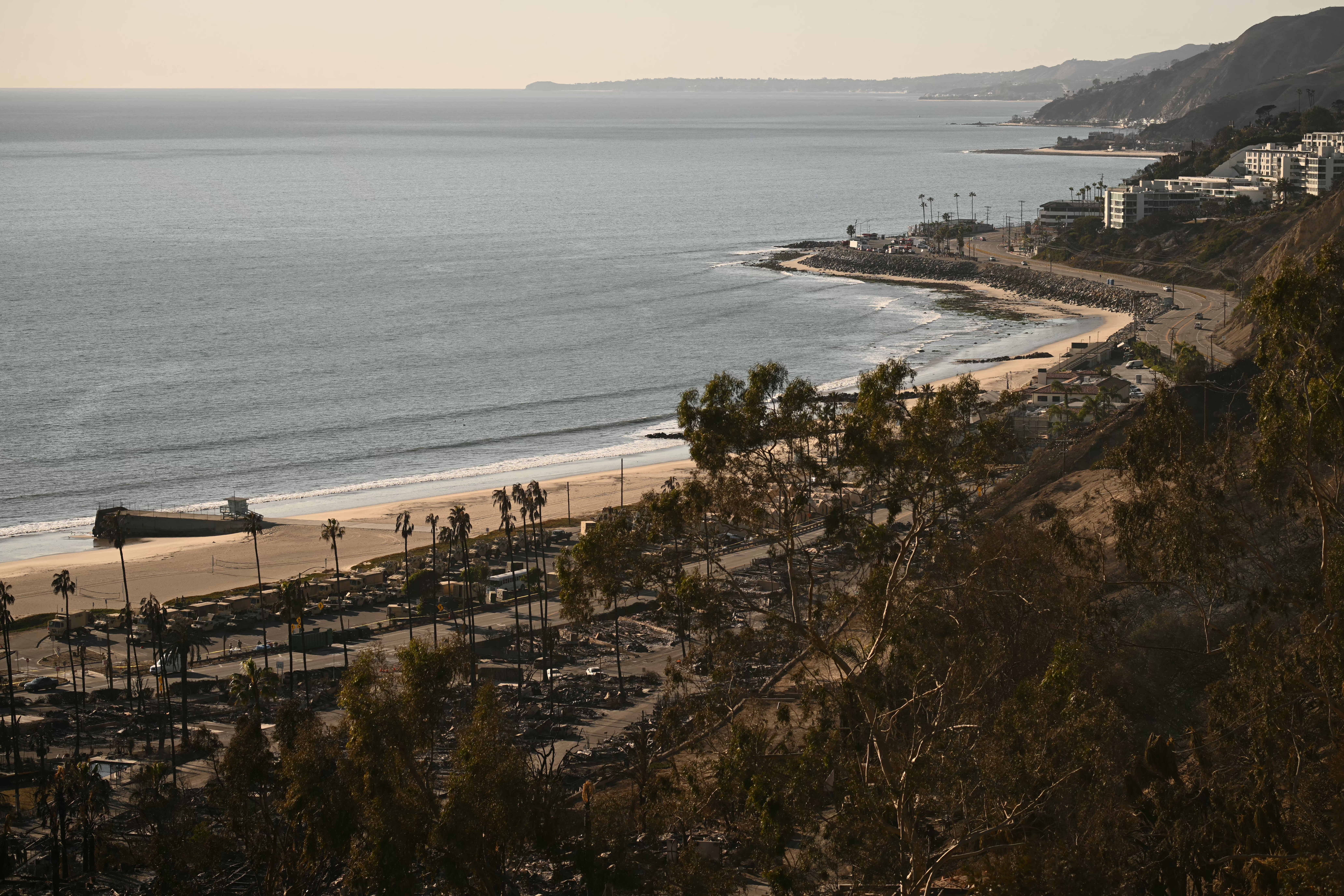 The Pacific Ocean is seen in the distance beyond palm trees and the charred remains of homes destroyed by the Palisades Fire in the Pacific Palisades neighborhood of Los Angeles, California, on January 13, 2025.