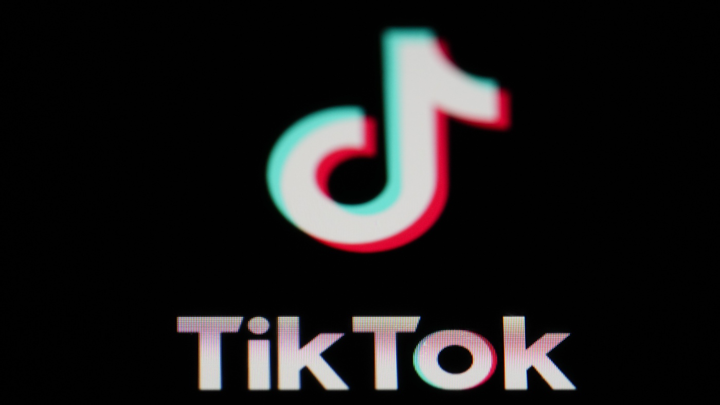 Justice Dept. claims TikTok collected views on issues like abortion and gun control Justice Dept. claims TikTok collected views on issues like abortion and gun control