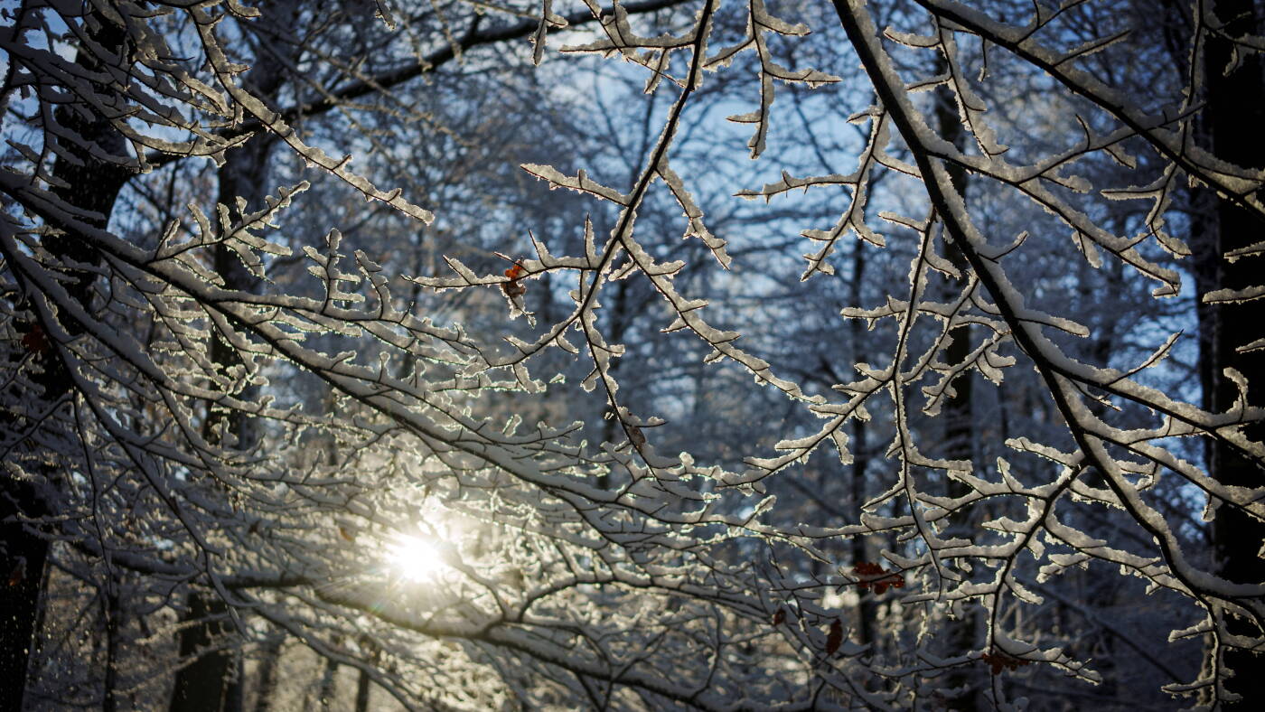 Saturday is the winter solstice. Make the most of the shortest day of the ...