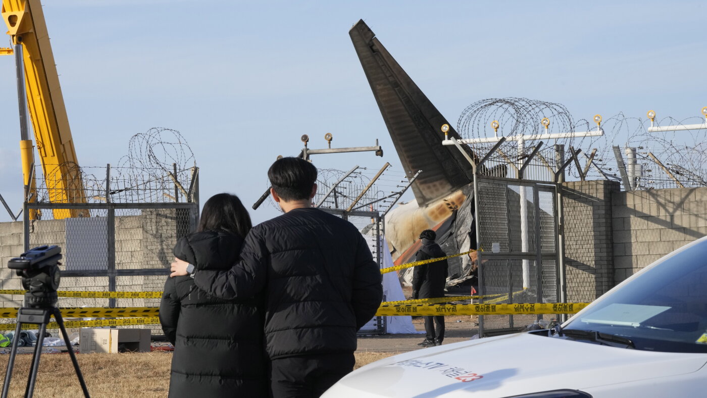 Birds found to have been involved in South Korea plane crash : NPR