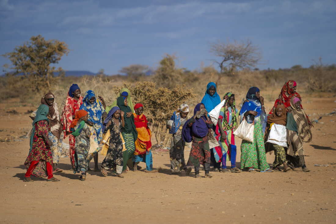 Nearly 120 million people were displaced around the world in 2023 ...