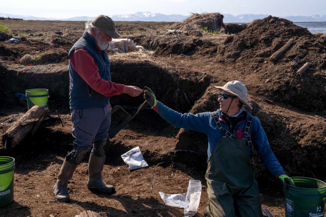 Principal archaeologist Rick Knecht examines an artifact found by volunteer excavator John Rundall.