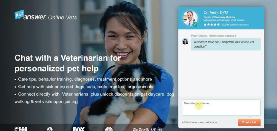 An example of one of the websites controlled by Just Answer.