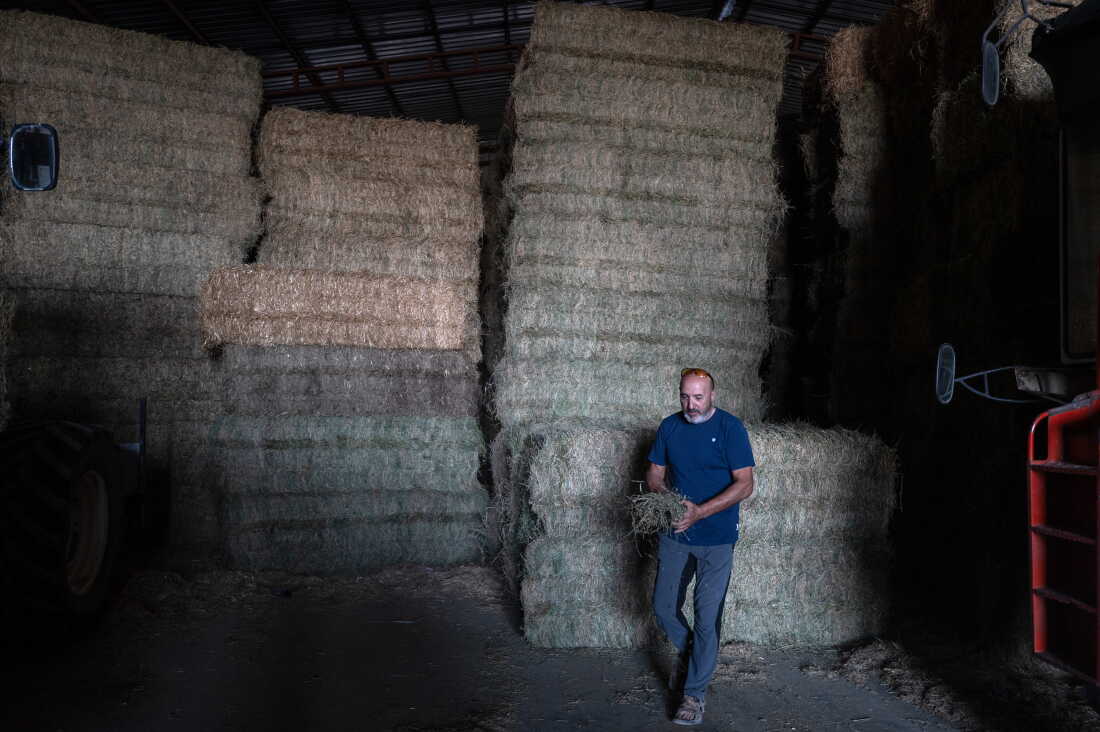 VILLANUEVA DE GALLEGO, SPAIN - SEPTEMBER 27, 2026 Farmer Julio Enfedaqu(cq) carries some alfalfa in Villanueva de Gallego, Spain on September 27, 2026. An outflow pipe being built close to his farm will carry hot water from a nearby Amazon data center and release it into the Gallégo river that runs past his property. This has alarmed environmentalists and farmers. The Spanish region of Aragon is seeing a huge surge in data center construction which has alarmed many local residents due to their high energy use, noise pollution and heat generation. Amazon alone is building 30 data center buildings, according to papers the company filed with the regional government. (Photo by Michael Robinson Chávez for National Public Radio)