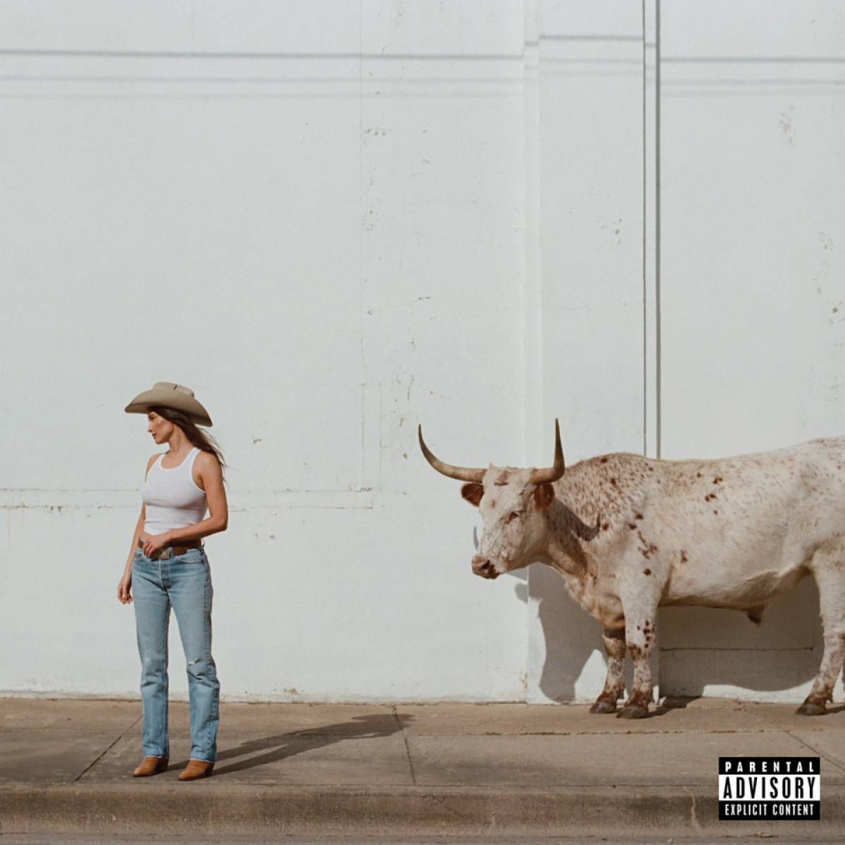 The cover art for Kacey Musgraves' album Middle of Nowhere