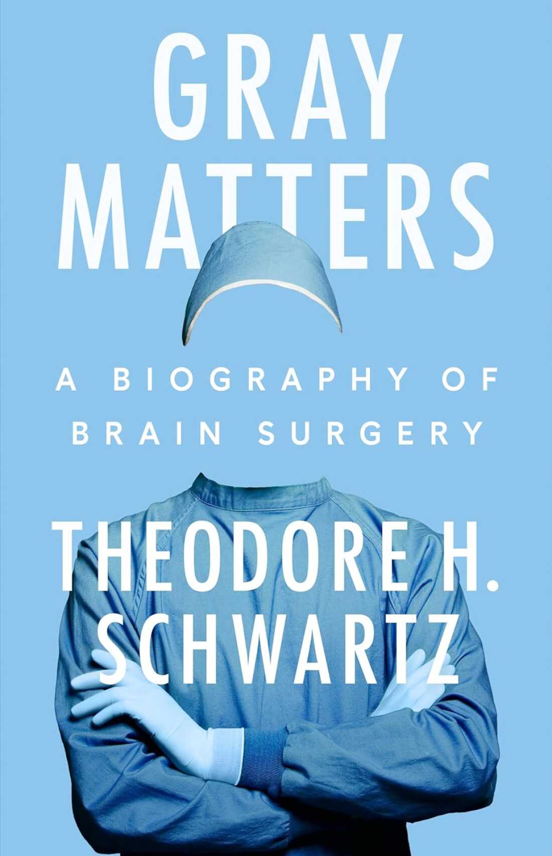 Gray Matters, by Theodore Schwartz