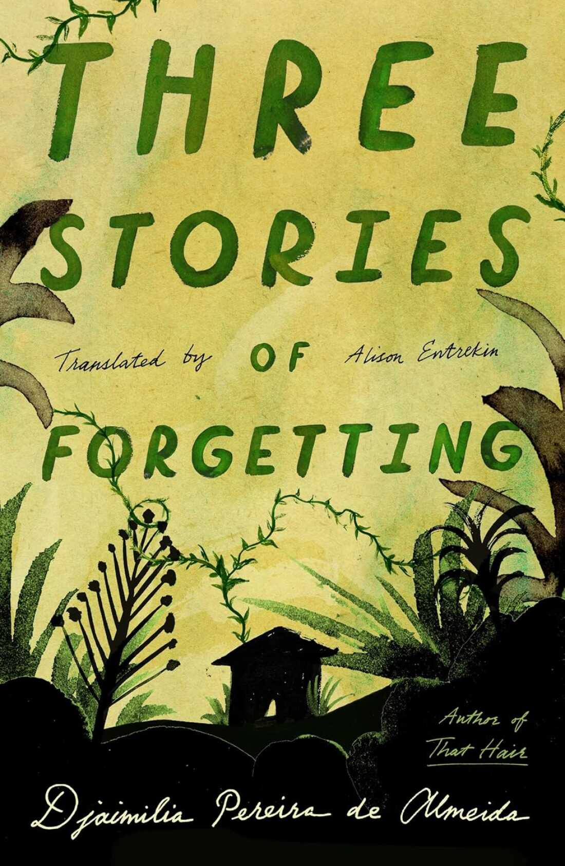 Three Stories of Forgetting, by Djaimilia Pereira de Almeida, translated by Alison Entrekin